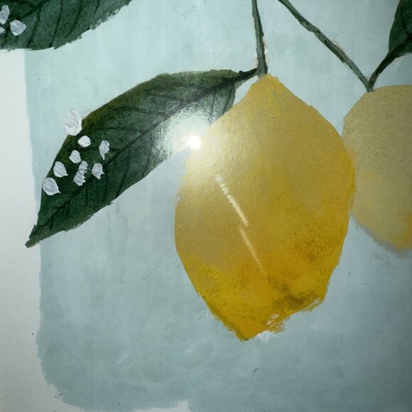 Hobby Lobby Botanical Wood Framed Wall Art Print Lemon Farmhouse 11x9x1 inches - Picture 7 of 7